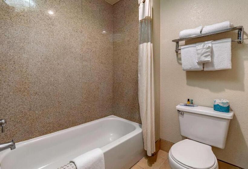 Номер Deluxe Кровать Кинг, Best Western Orchard Inn