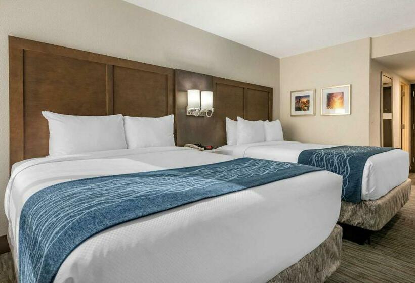 标准间, Comfort Inn & Suites Downtown Brickell Port Of Miami