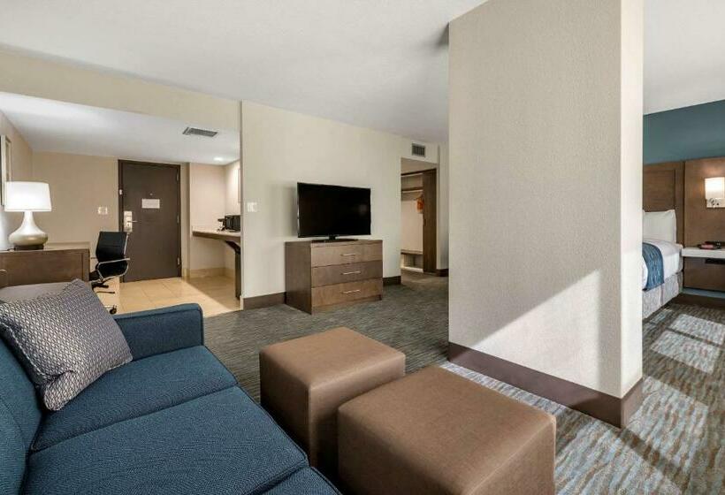 带大床的标准间, Comfort Inn & Suites Downtown Brickell Port Of Miami