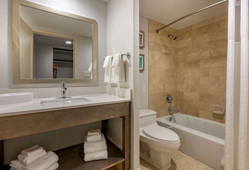 带2个双人床的标准工作室, Comfort Inn & Suites Downtown Brickell Port Of Miami