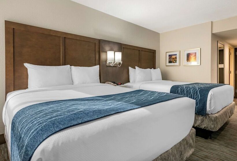 带2个双人床的标准工作室, Comfort Inn & Suites Downtown Brickell Port Of Miami