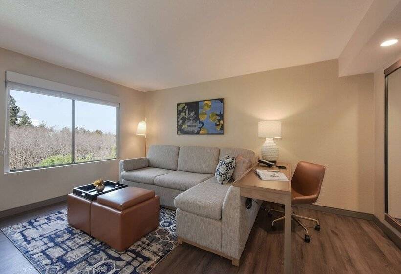 스위트 킹사이즈 침대, Hyatt Centric Santa Clara Silicon Valley