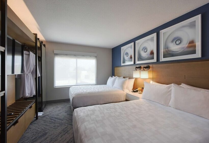 풀장 전망 스위트, Hyatt Centric Santa Clara Silicon Valley