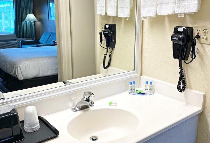 Номер Стандарт, Roadstar Hotel Zephyrhills