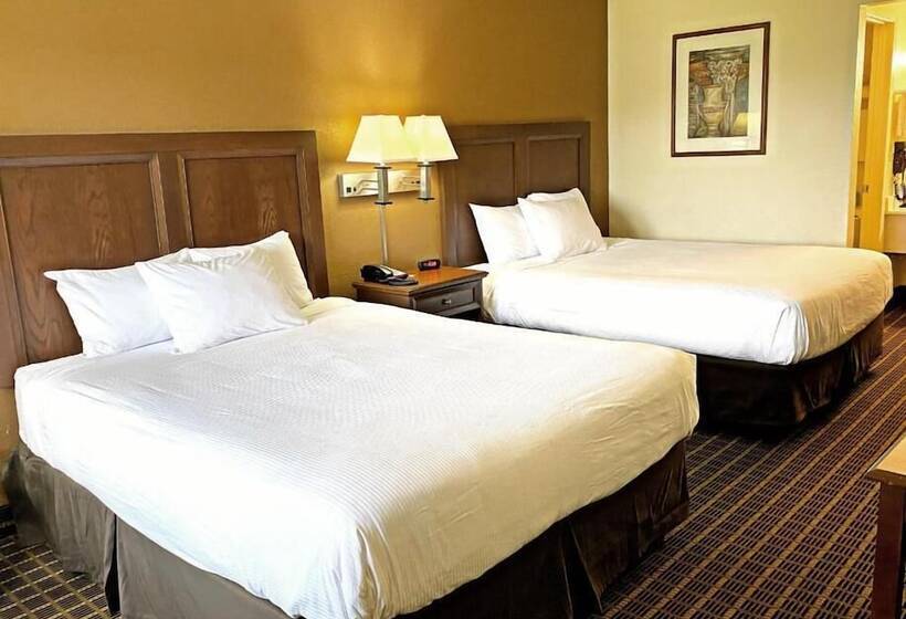 Номер Стандарт, Roadstar Hotel Zephyrhills