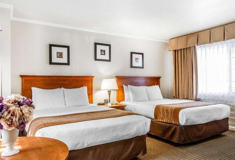 Номер Стандарт 2 Двуспальные Кровати, The Inn At 1252 Monterey