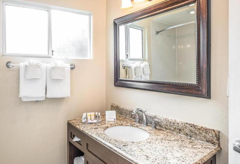 Номер Стандарт 2 Двуспальные Кровати, The Inn At 1252 Monterey