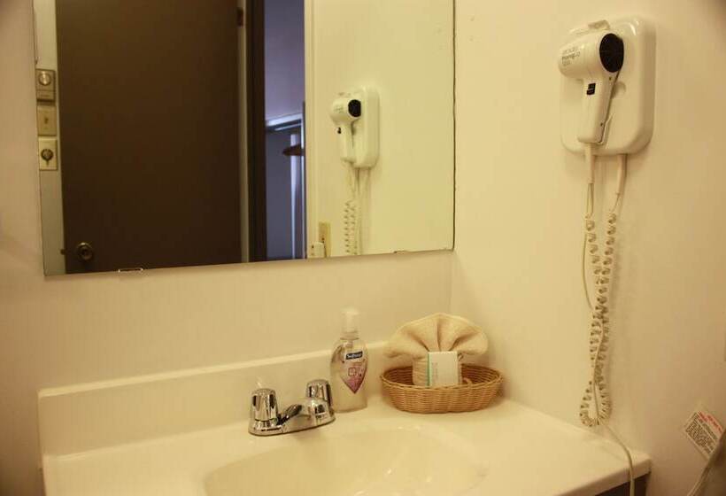 Номер Стандарт Двуспальная Кровать, Motel Le Radisson De Val David