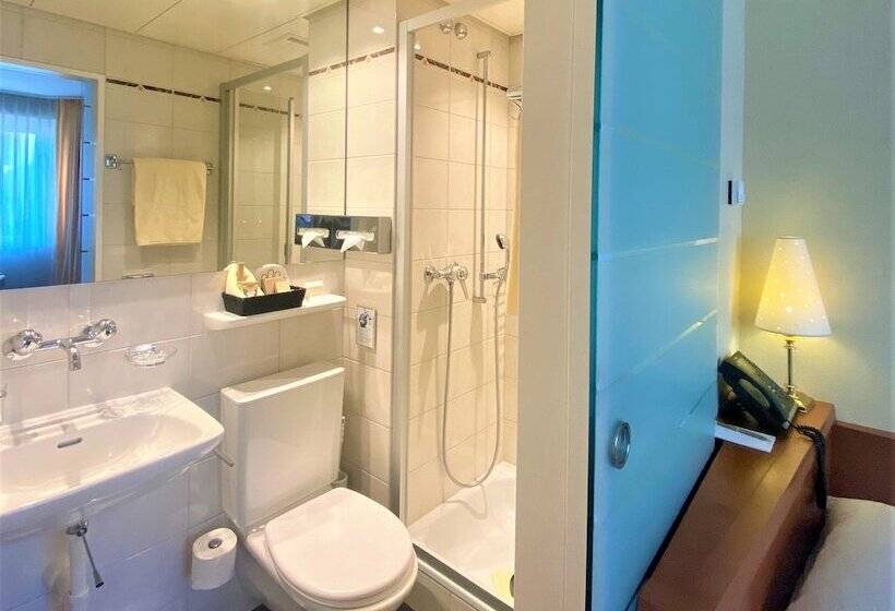 Номер Economy Индивидуальный, Gaia Hotel Basel   The Sustainable 4 Star