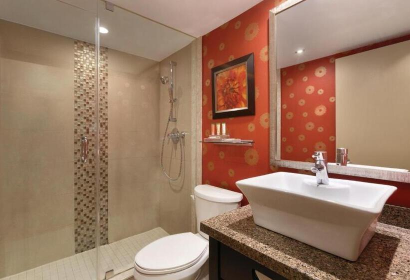Номер Стандарт 2 Двуспальные Кровати, Park Inn By Radisson Torontomarkham