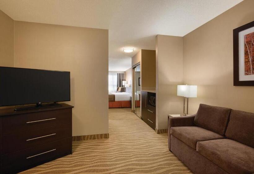 Студио Стандарт Кровать Кинг, Park Inn By Radisson Torontomarkham