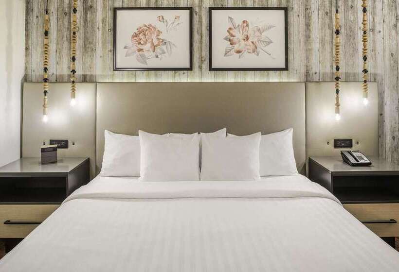 Номер Стандарт, Cliffrose Springdale, Curio Collection By Hilton