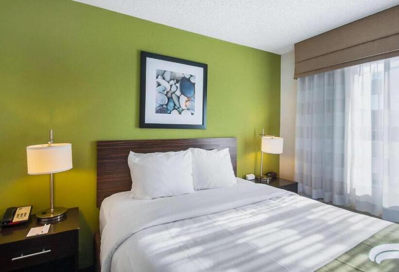 스탠다드 룸, Quality Inn