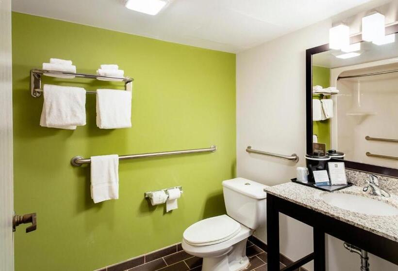장애인을 위한 스탠다드 룸, Quality Inn