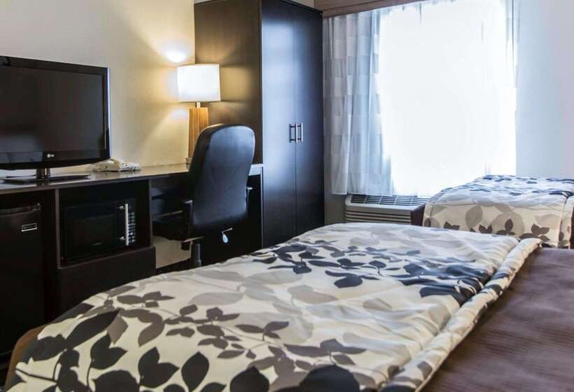חדר סטנדרט שתי מיטות זוגיות, Sleep Inn Florence North