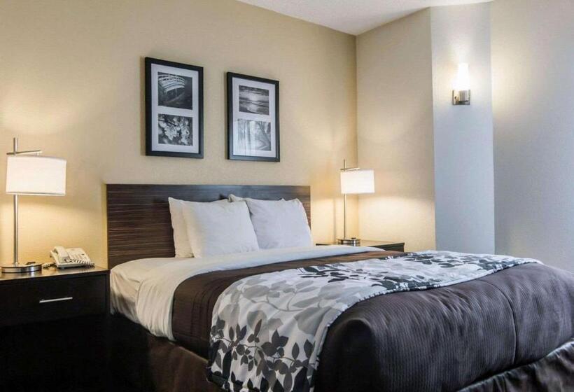 身障者適用スタンダードルーム, Sleep Inn Florence North