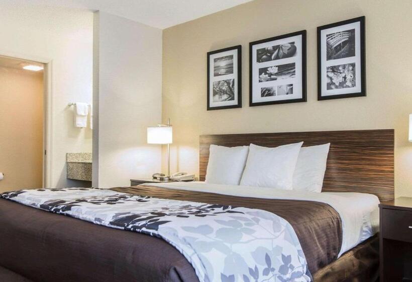 חדר סטנדרט עם מיטת קינג, Sleep Inn Florence North
