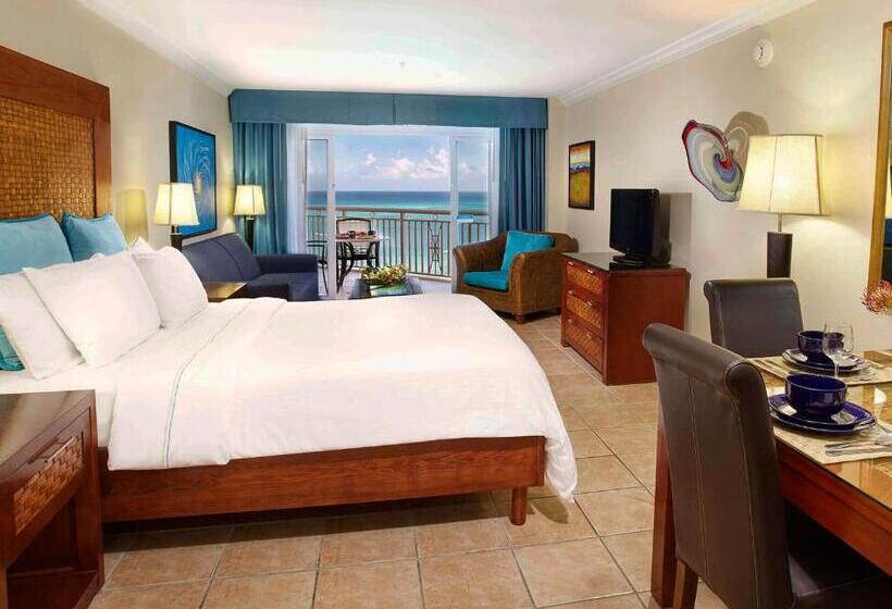 스탠다드 스튜디오, Divi Aruba Phoenix Beach Resort