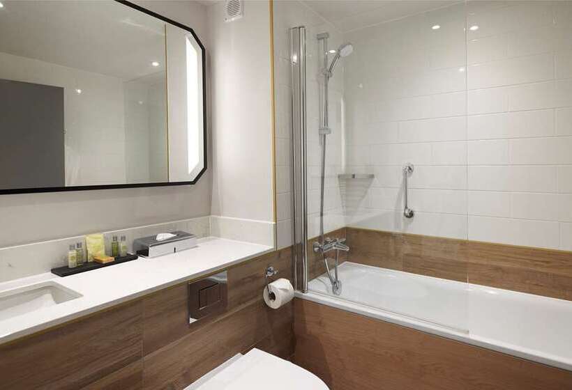 اتاق لوکس با تخت بزرگ, Hilton London Croydon