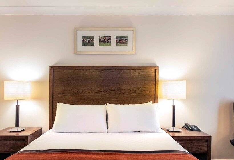 Номер Стандарт, Mercure Haydock