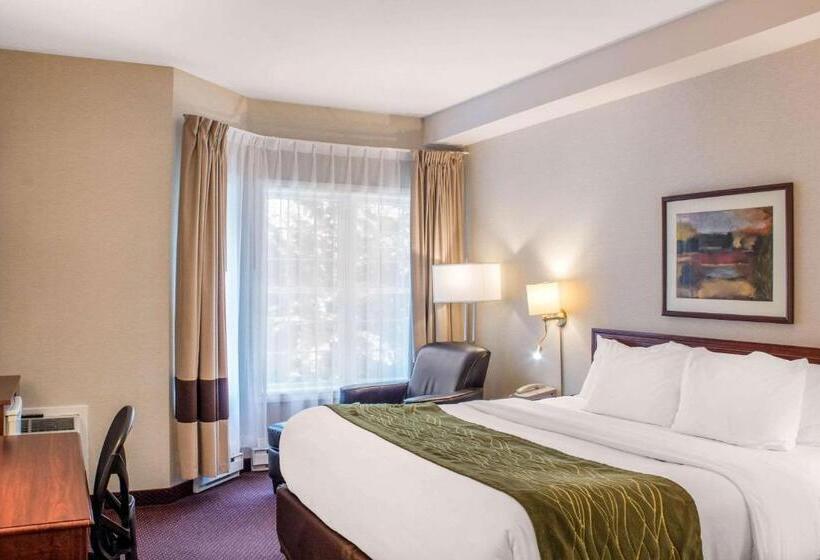 キングサイズベッドのスタンダードルーム, Comfort Inn