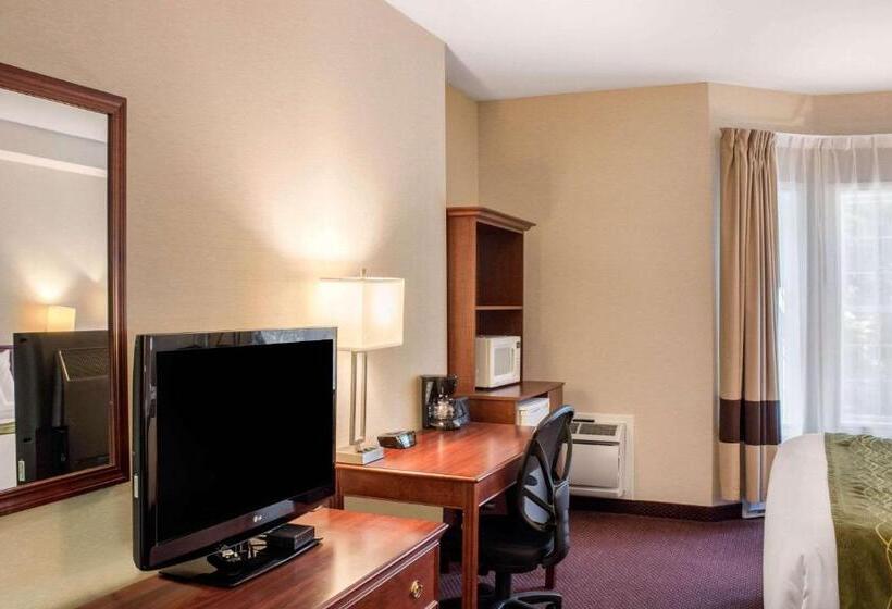 ２ダブルベッドのスタンダードルーム, Comfort Inn