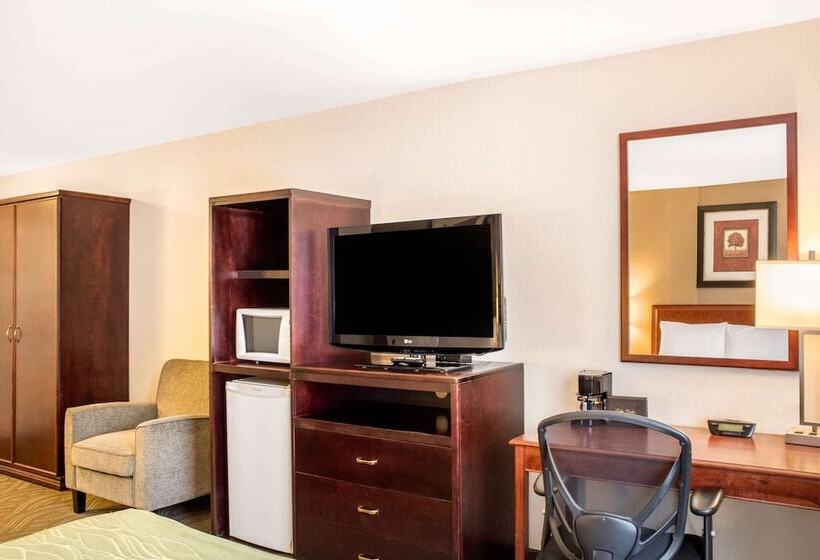 ２ダブルベッドのスタンダードルーム, Comfort Inn
