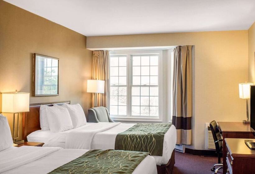 ２ダブルベッドのスタンダードルーム, Comfort Inn
