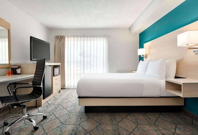 带2个双人床的标准工作室, Ramada By Wyndham Miramichi New Brunswick