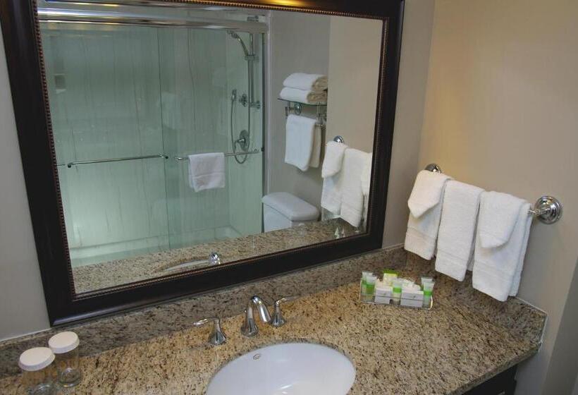 اتاق استاندارد, Visitor S Inn