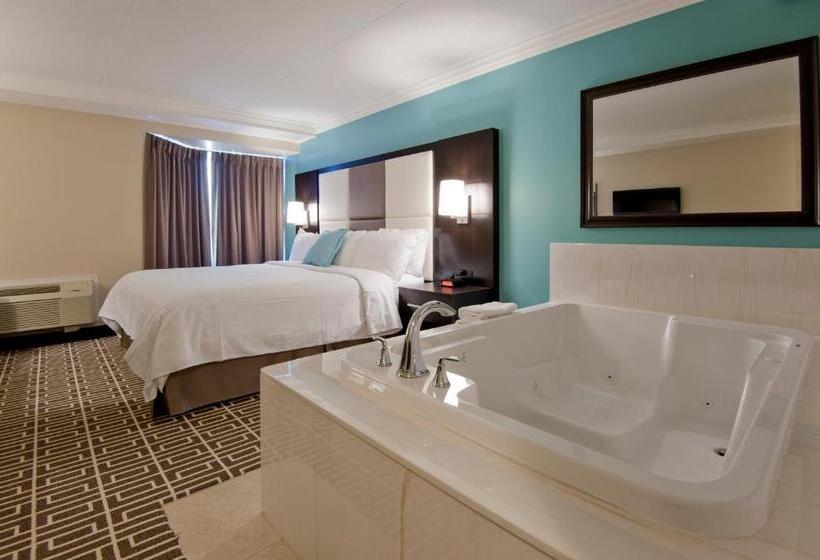 سوئیت جونیور با ماساژ آبی, Visitor S Inn