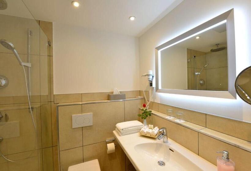Номер бизнес-класса, Best Western Plus Delta Park