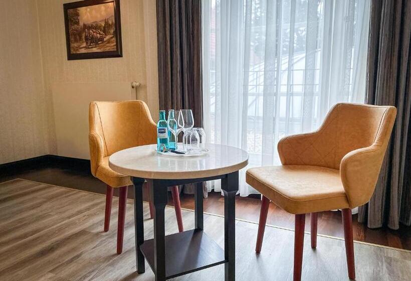 豪华房间, Weltemühle Hotel By Miri S Dresden