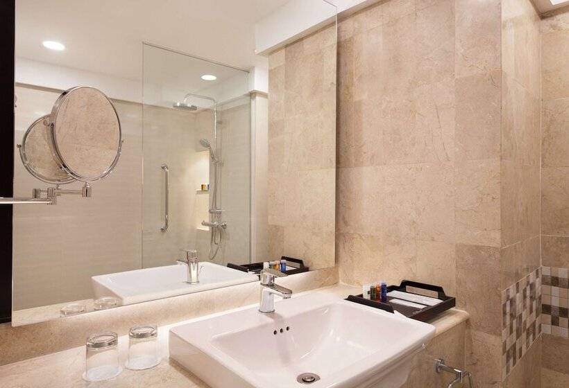 豪华房间, Radisson Medan