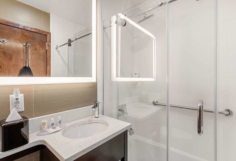 Номер Стандарт 2 Двуспальные Кровати, Comfort Inn Prospect Parkbrooklyn