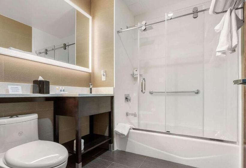Номер Стандарт, Comfort Inn Prospect Parkbrooklyn