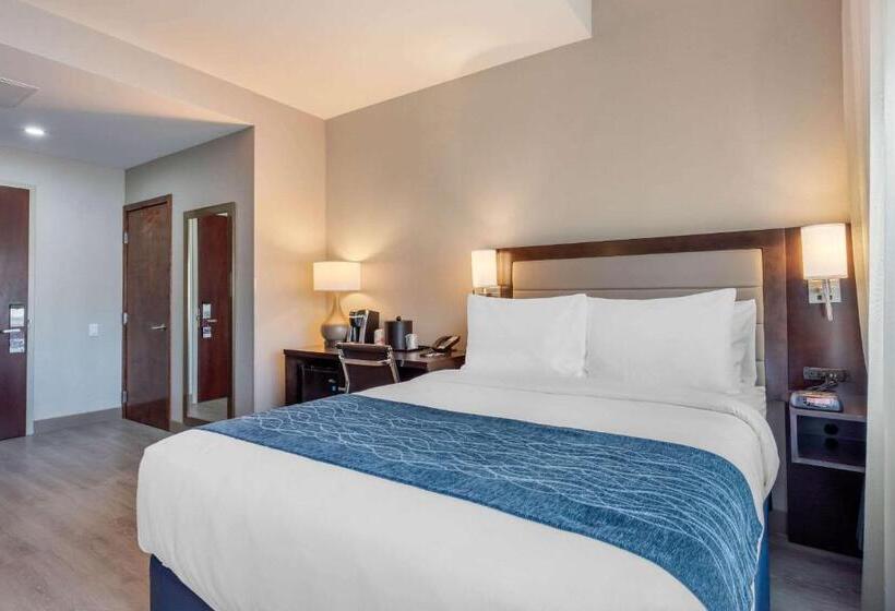Номер Стандарт Адаптированный для Инвалидов, Comfort Inn Prospect Parkbrooklyn