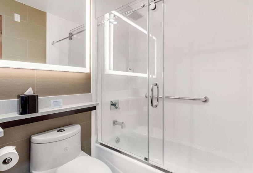 Номер Superior, Comfort Inn Prospect Parkbrooklyn