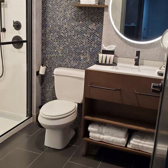 适合残疾人士使用的套间, Indigo Chattanooga   Downtown, An Ihg
