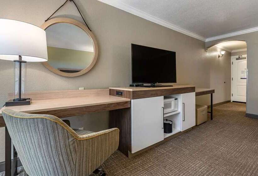 חדר סטנדרט נוף לעיר, Hampton Inn Oakland Downtown City Center