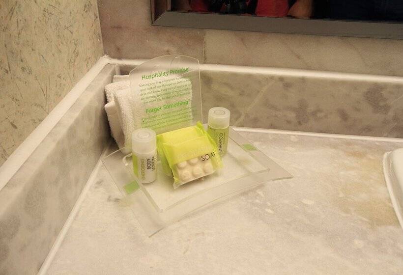 クラブルーム, Holiday Inn Monterrey Parque Fundidora, An Ihg