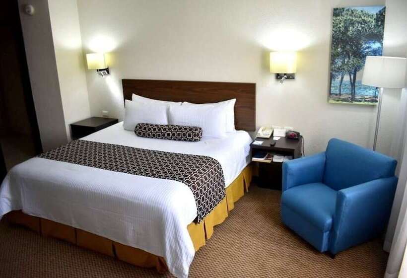デラックスルーム, Wyndham Executivo Culiacan