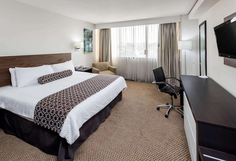 デラックスルーム, Wyndham Executivo Culiacan