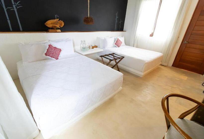سوییت, Casa HX - Adults Only