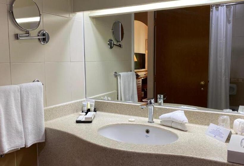 스탠다드 룸 풀장 전망, Golden Tulip Nizwa