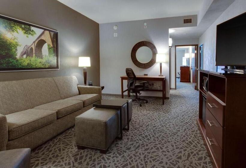 Студио Стандарт Кровать Кинг, Drury Plaza Hotel Cape Girardeau Conference Center