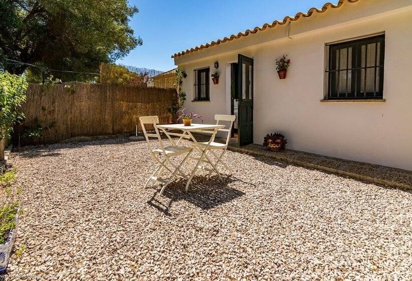 クラシックスイート, Cortijo El Indiviso