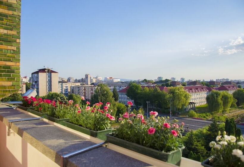 اتاق سوپریور یک تخته, Carpati Hotel Baia Mare