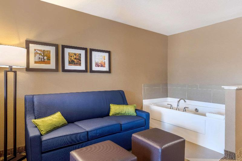 キングサイズベッドのスイートルーム, Comfort Inn & Suites Schenectady Scotia