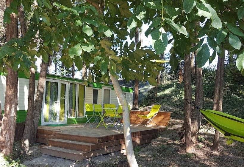 Номер Стандарт, Des Branches & Vous